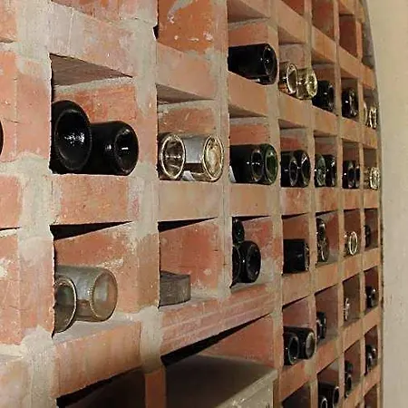 Ξενοδοχείο Arkadia 4*